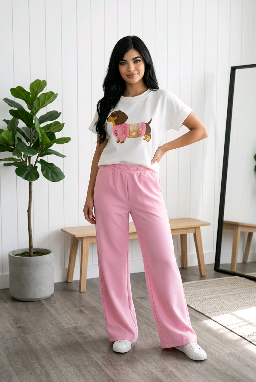 Conjunto perro 1